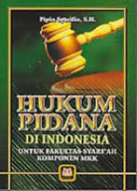 Image of Hukum Pidana di Indonesia Pipin